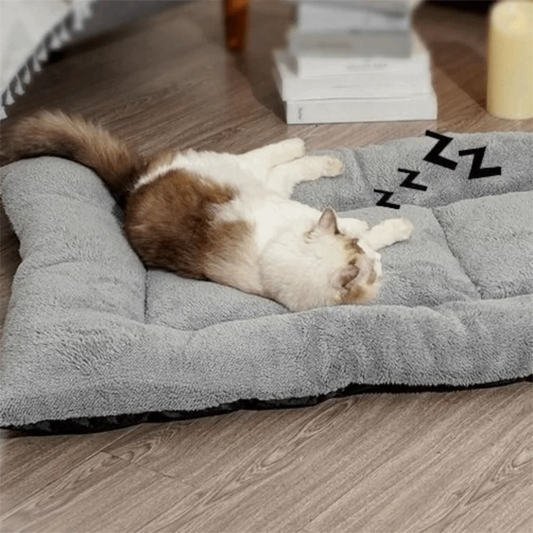 Coussin-oreiller chaud pour chat et chien - Peluche ultra-douce antidérapante